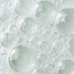 Shampoo de Mantenimiento Botx x 250 ml - Imagen 2