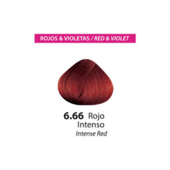 Tinte Color Flex - Rojo Intenso 6.66 Sachet 50 g - Imagen 2