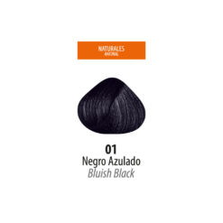 Tinte Lan Ten - Negro Azulado 01 Sachet 50 g - Imagen 2