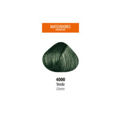 Tinte Lan Ten - Verde 4000 Sachet 50 g - Imagen 2