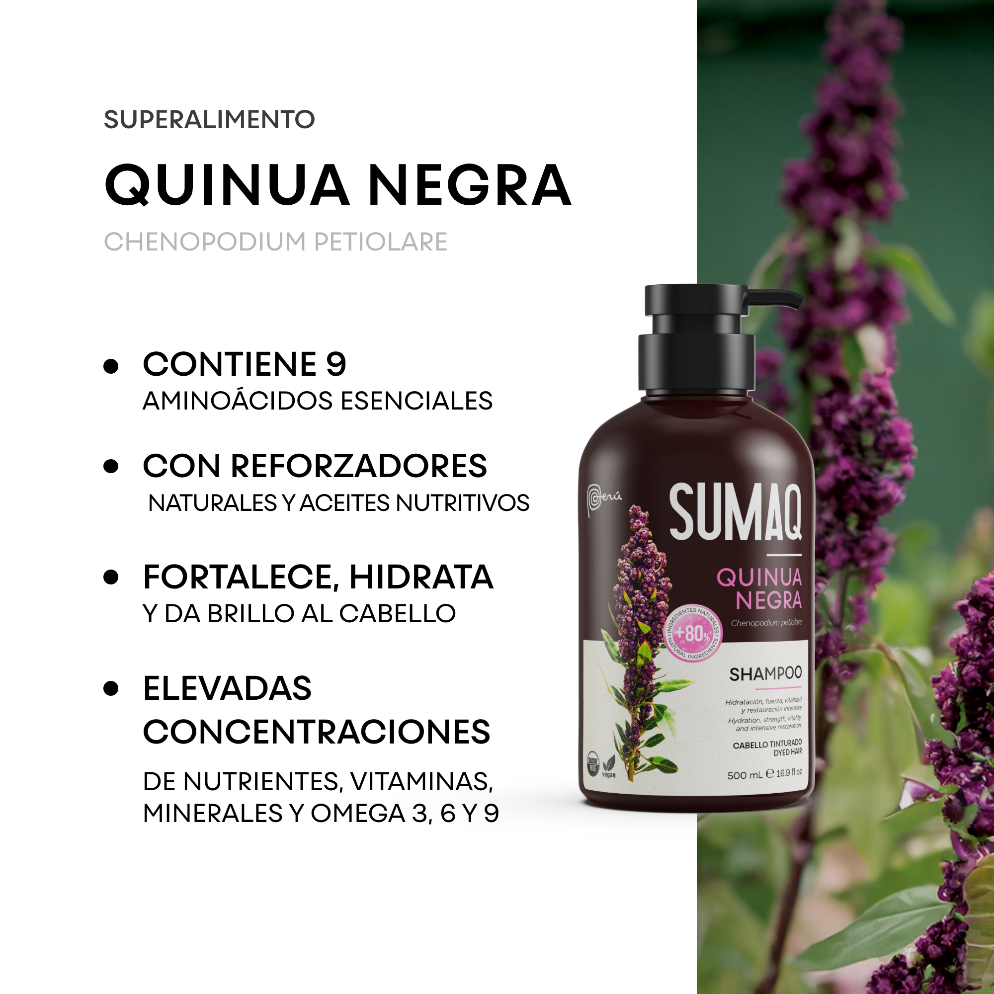 Shampoo Sumaq Quinua Negra x 500 ml - Imagen 4