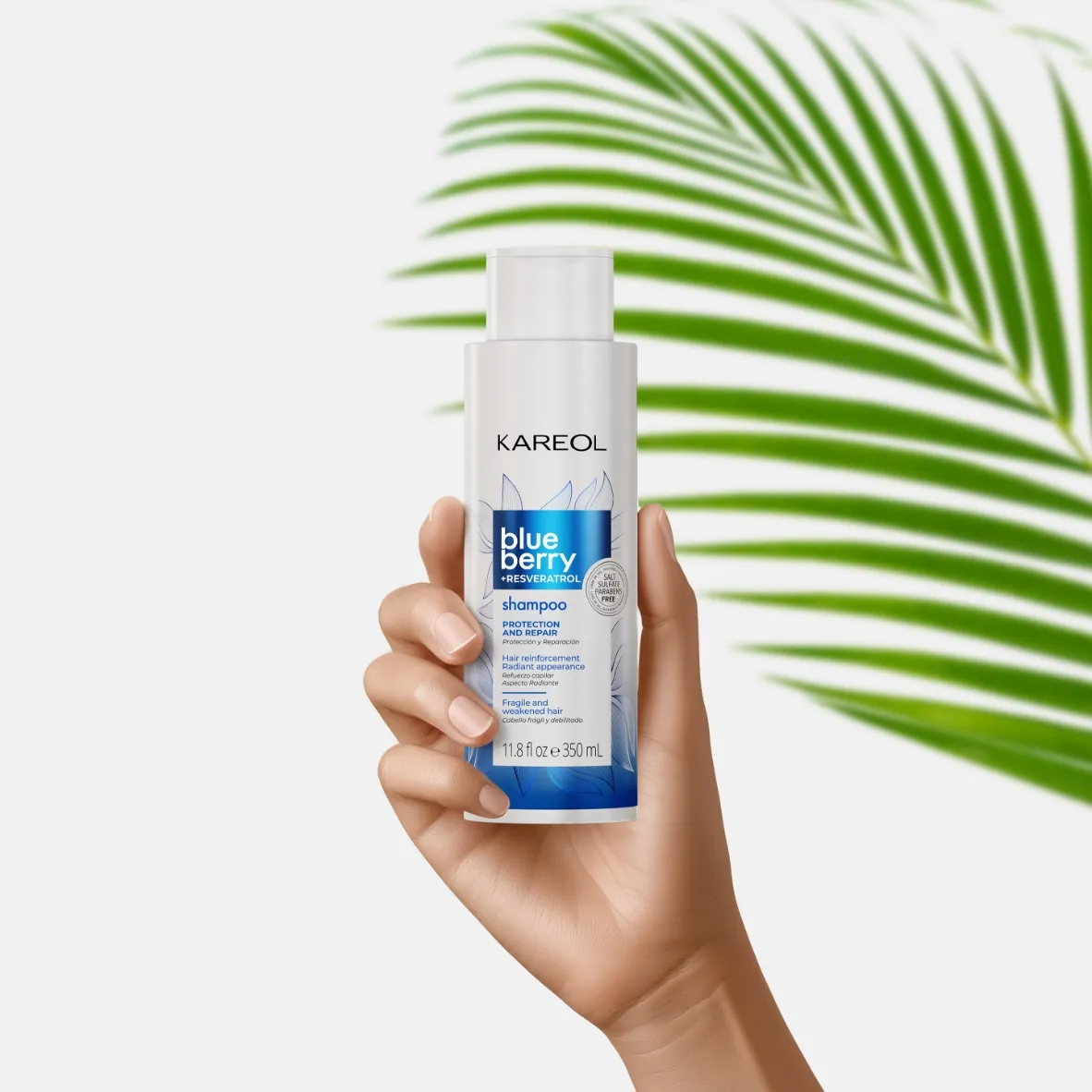 Shampoo Kareol Blueberry + Resveratrol x 350 ml - Imagen 2